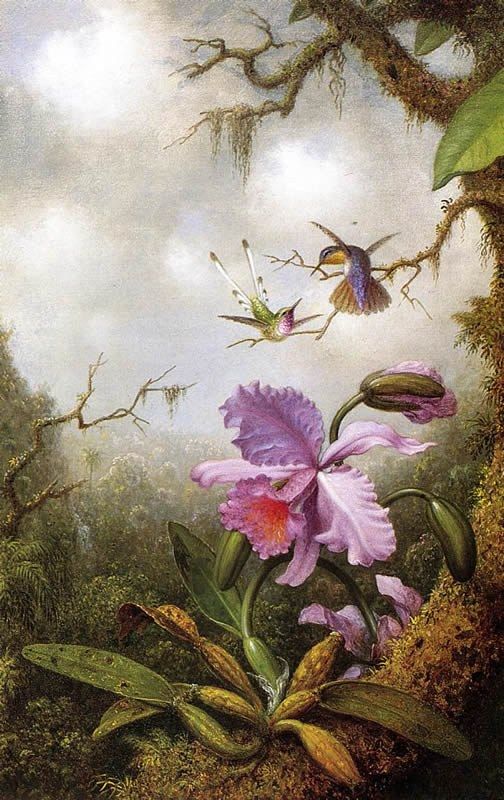 Martin Johnson Heade Two Hummingbirds and a PinkOrchid